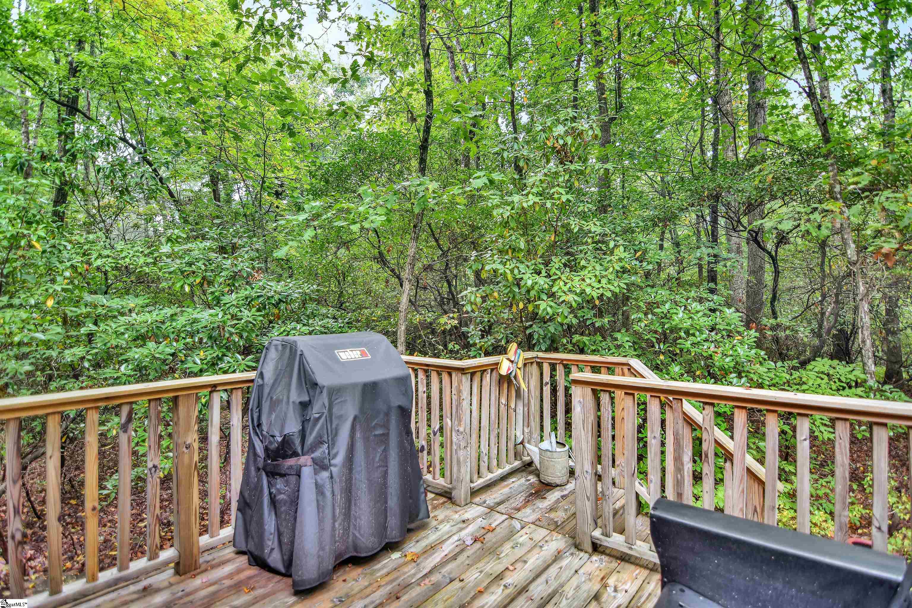 316 Hemlock Trail Cleveland, SC 29635 - Photo 20 of 40 Gallery Image 20