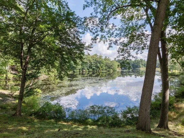 a view of a lake in a forest