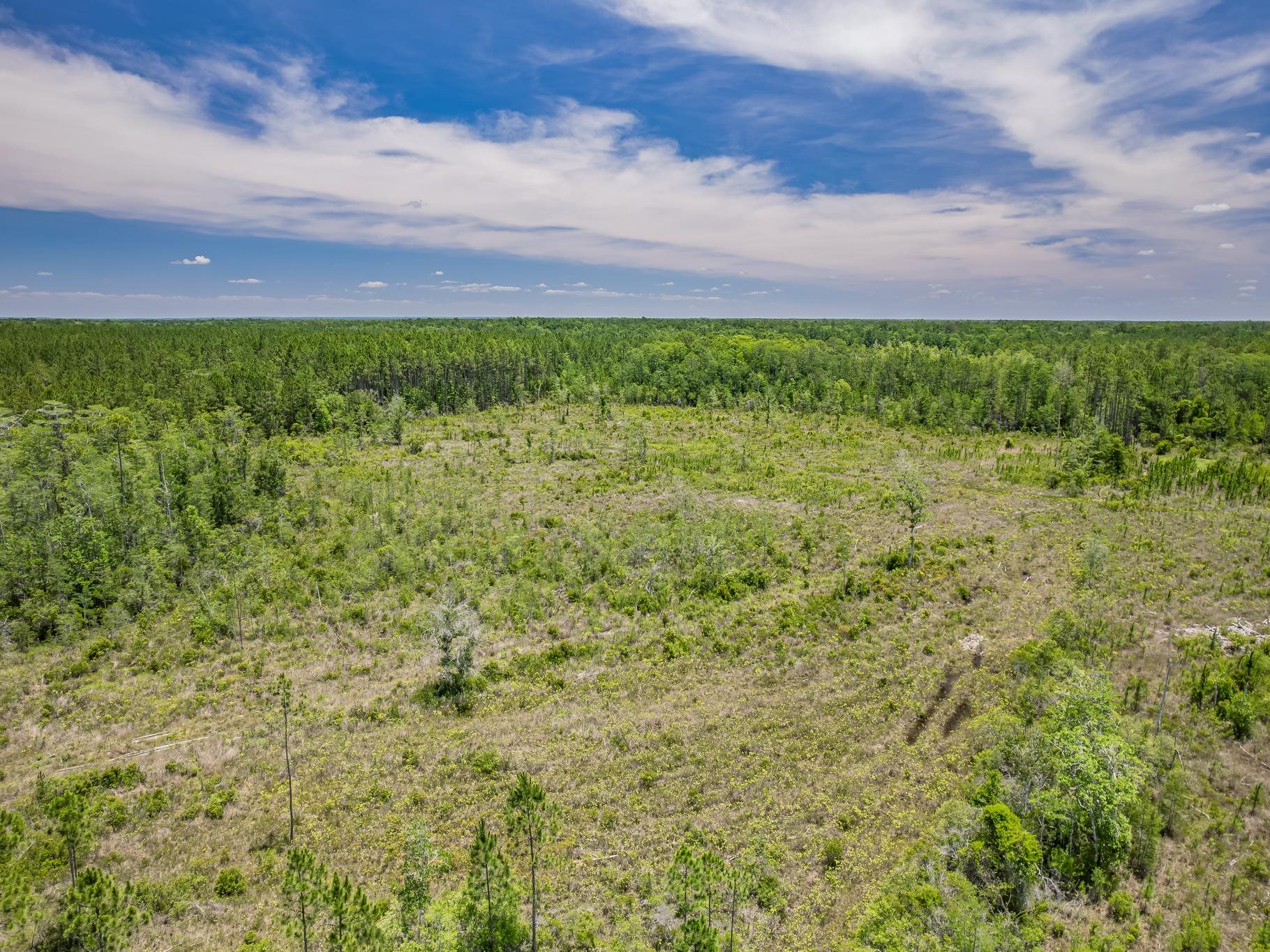 Lot 3 Old Plank Road Crawfordville, FL 32327 - Photo 16 of 18