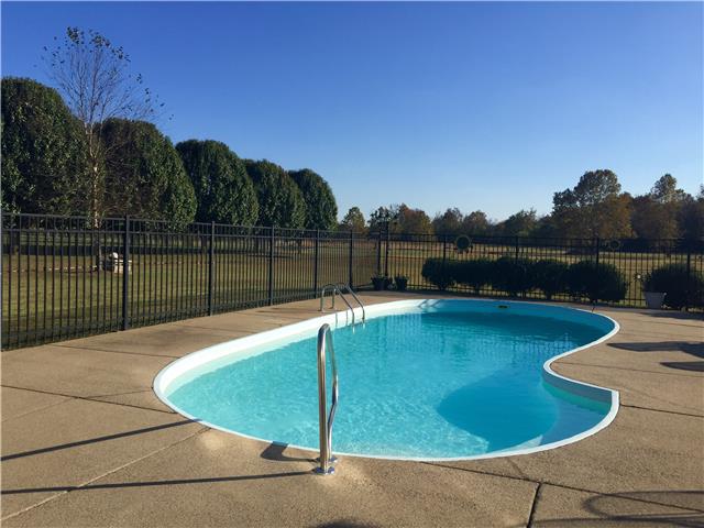 1101 Powell Grove Road Lebanon, TN 37090 - Photo 4 of 19 15x35 Salt Water Inground Pool FABULOUS view of your back yard area.... To the Left of the property towards the back is 3.5 Acres Fenced