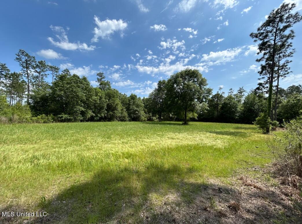 0 Esther Road Saucier, MS 39574 - Photo 2 of 11 FieldShoothouseView