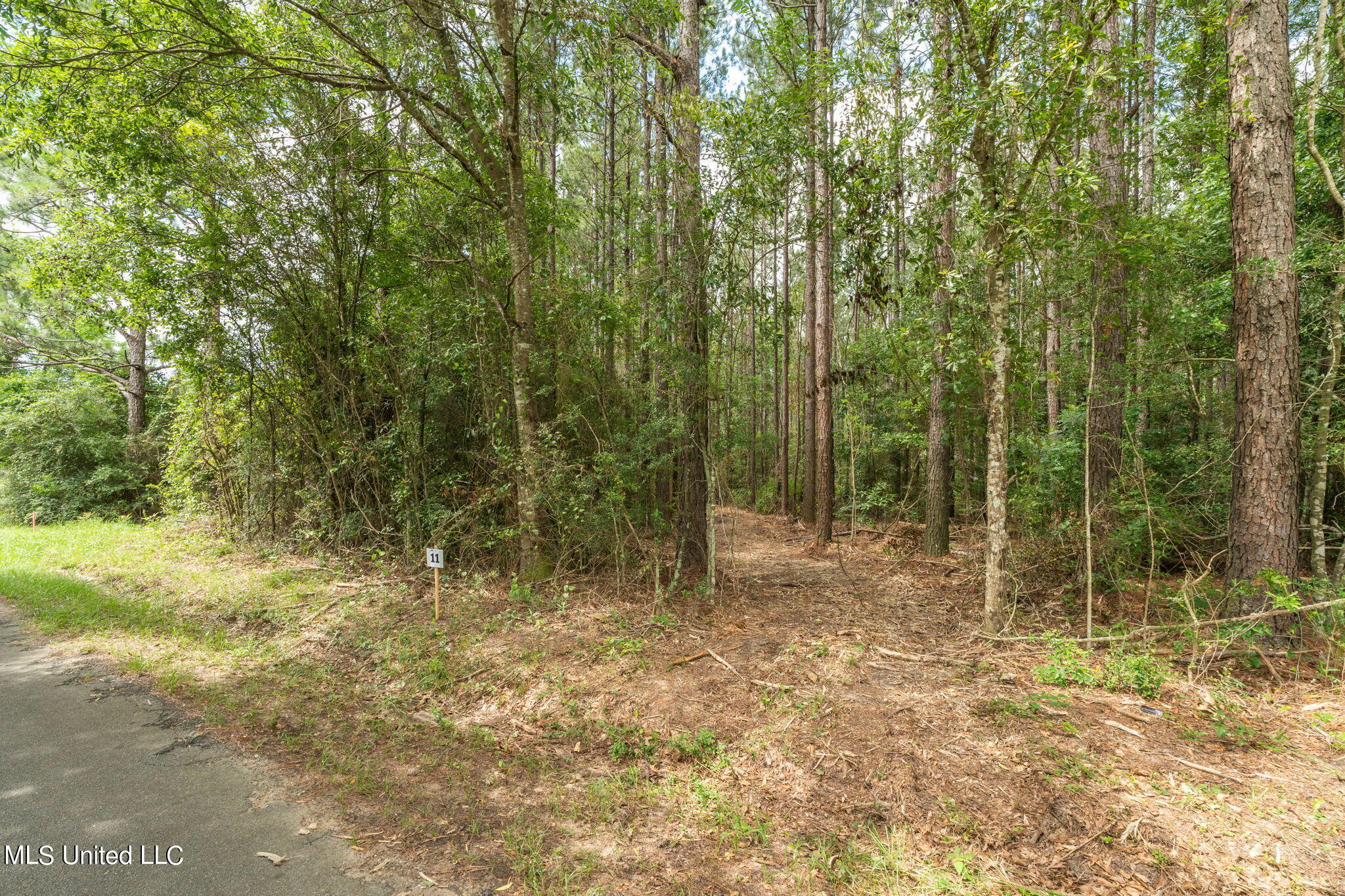 0 Esther Road Saucier, MS 39574 - Photo 3 of 11 Herman_Ladner_Road_Lot_11-2