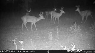 0 Esther Road Saucier, MS 39574 - Photo 6 of 11 Bucks