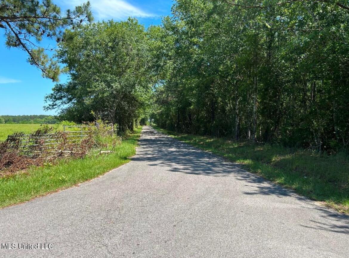 0 Esther Road Saucier, MS 39574 - Photo 7 of 11 EstherRoadFromHermanLadner