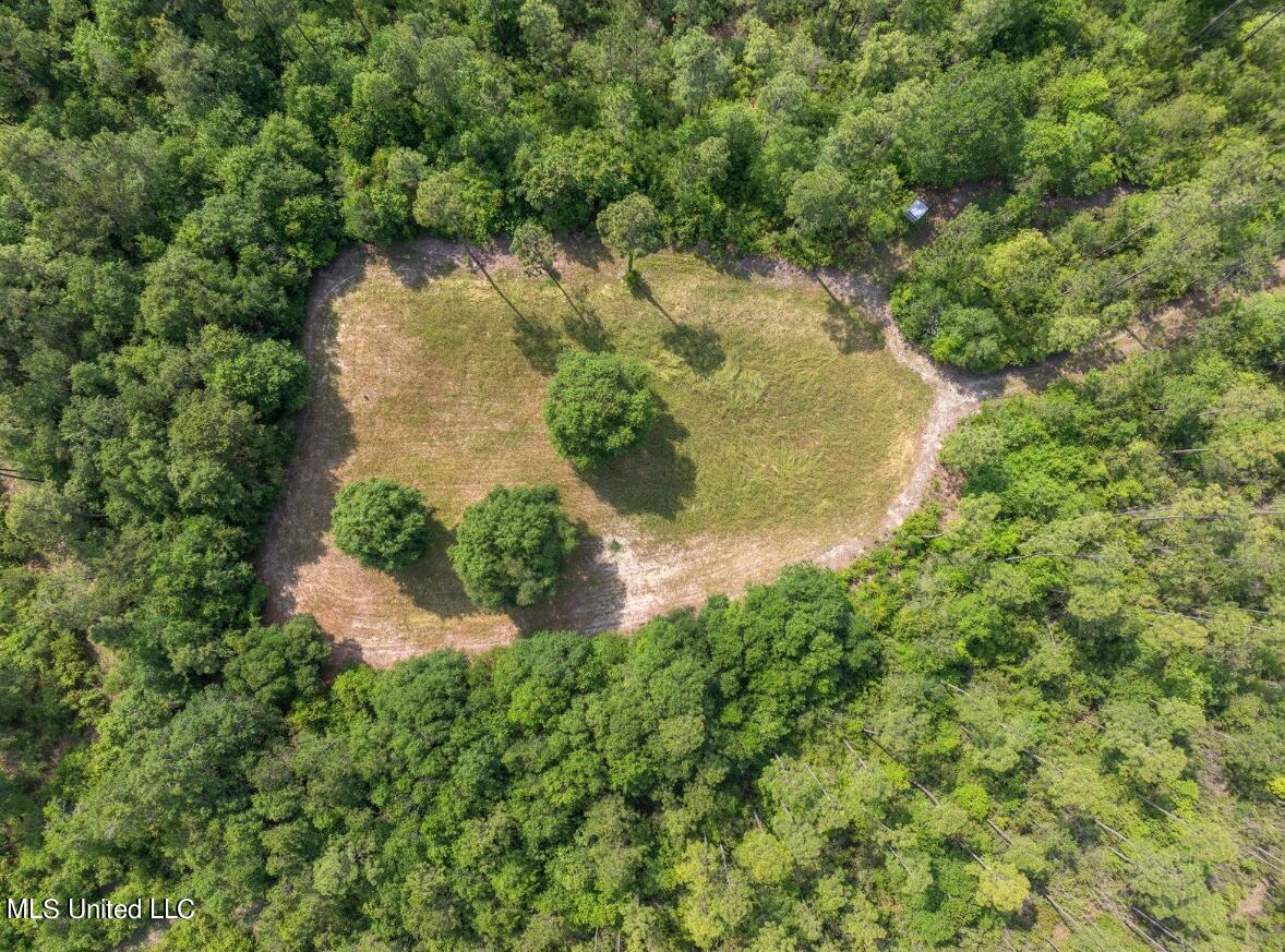 0 Esther Road Saucier, MS 39574 - Photo 8 of 11 SouthField