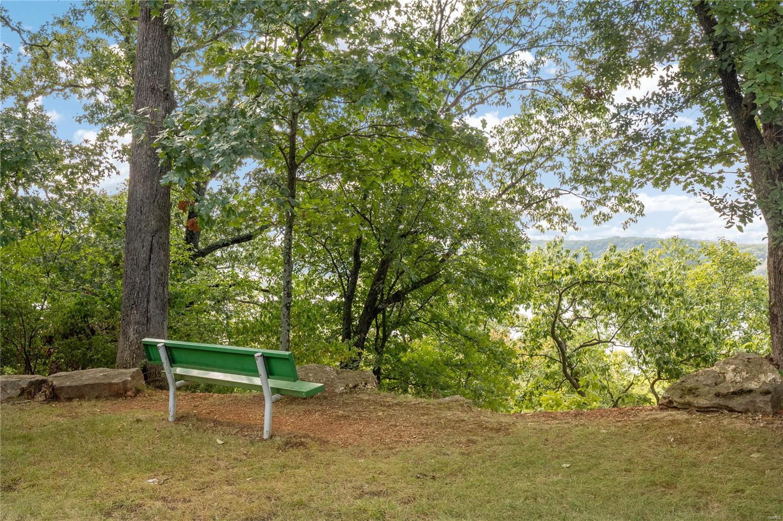 1947 Strawberry Ridge Drive Ballwin, MO 63021 - Photo 25 of 27