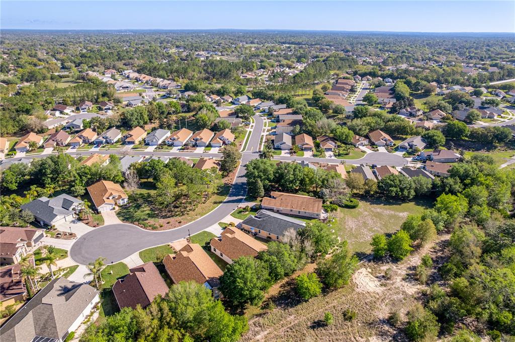 150 Gordham Court Spring Hill, FL 34609 - Photo 47 of 71 an aerial view of residential houses with outdoor space and trees