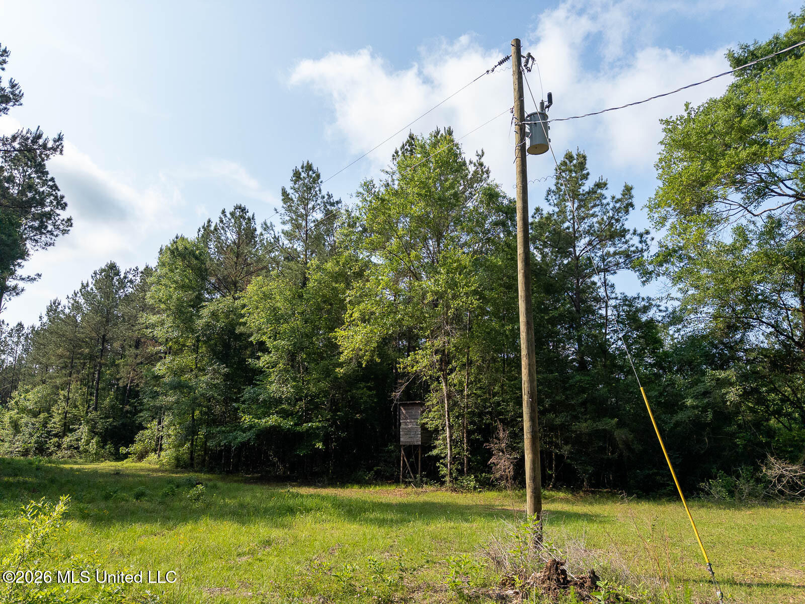 Perry Lake Road Beaumont, MS 39423 - Photo 9 of 16 10-acres-Perry-County-Thompson-Creek-9-p