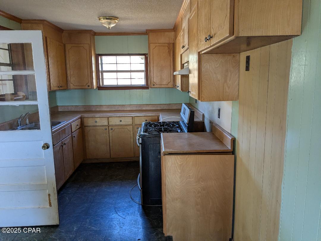 15982 Ashley Shiver Road Northwest Altha, FL 32421 - Photo 11 of 18