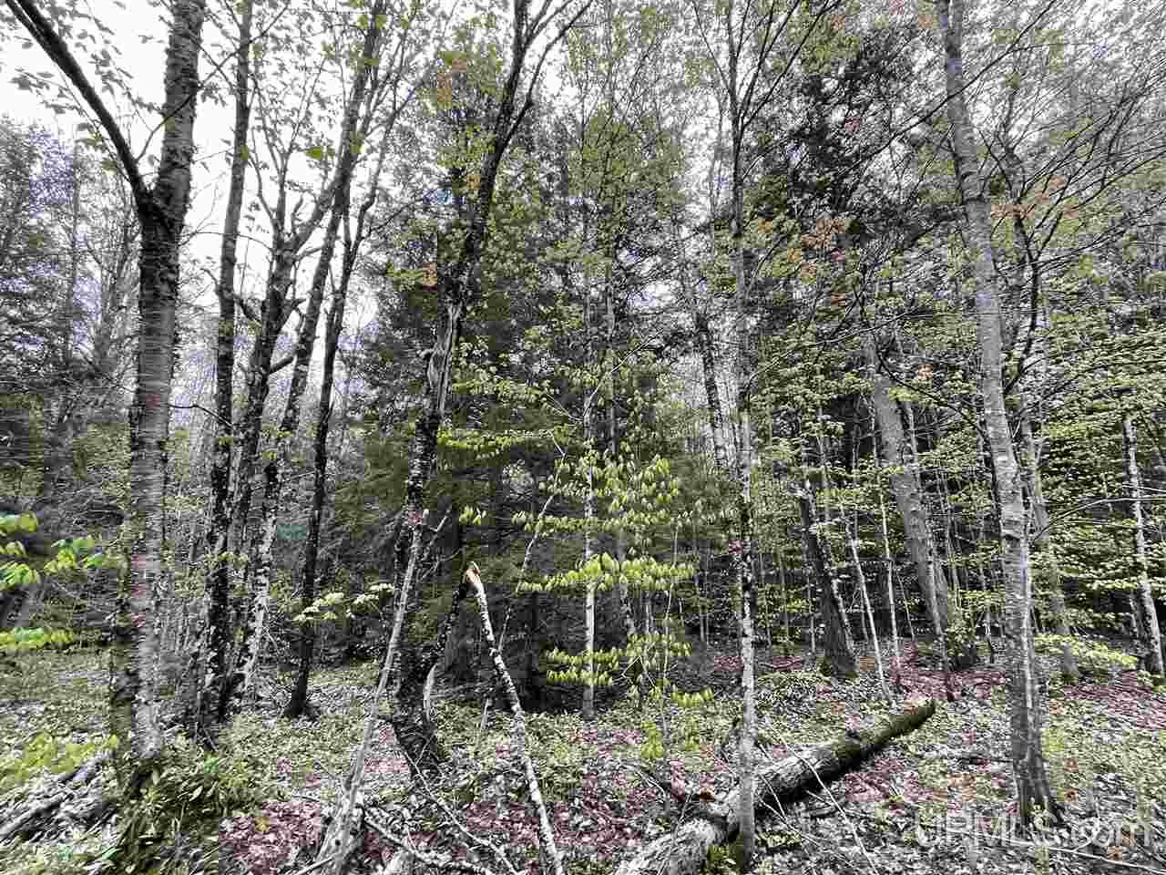 0 County Road 577 Road, Unit ANNA RIVER RDP Munising, MI 49862 - Photo 18 of 26