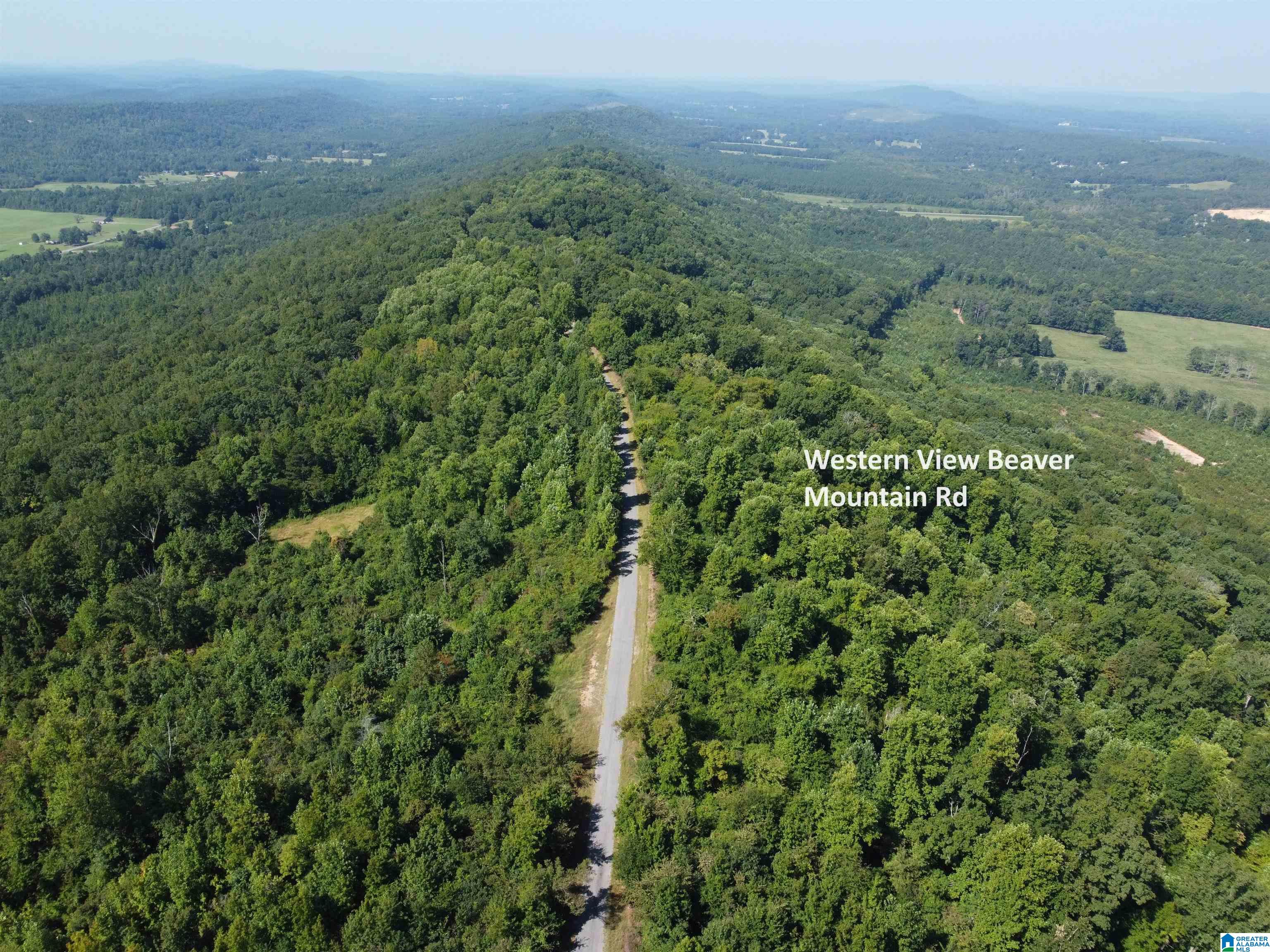 0 Beaver Mountain Road Ashville, AL 35953 - Photo 4 of 40