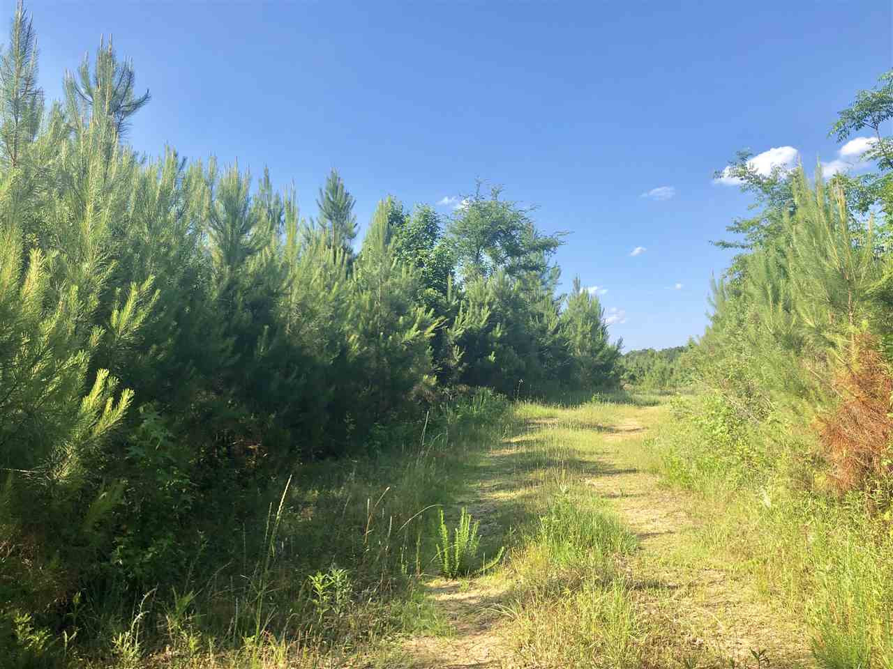 0 Byrdtown Road Hazlehurst, MS 39083 - Photo 1 of 12 Photo 1