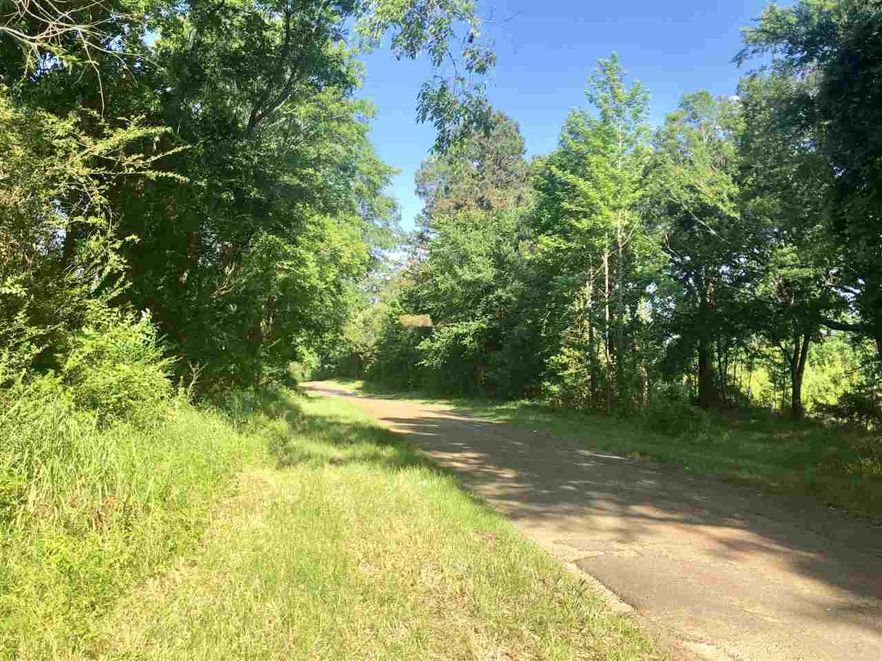 0 Byrdtown Road Hazlehurst, MS 39083 - Photo 4 of 12 Photo 4