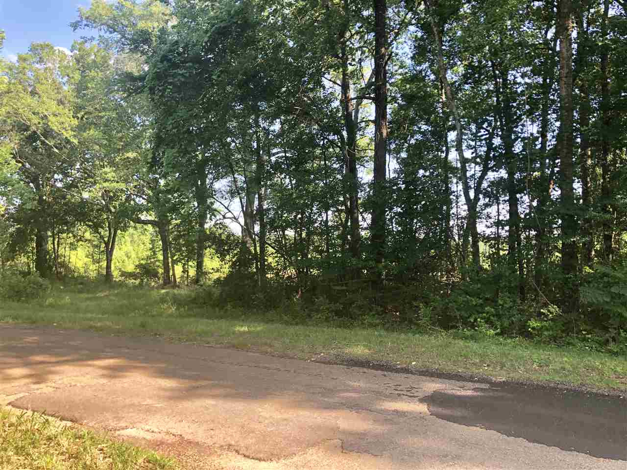 0 Byrdtown Road Hazlehurst, MS 39083 - Photo 5 of 12 Photo 5