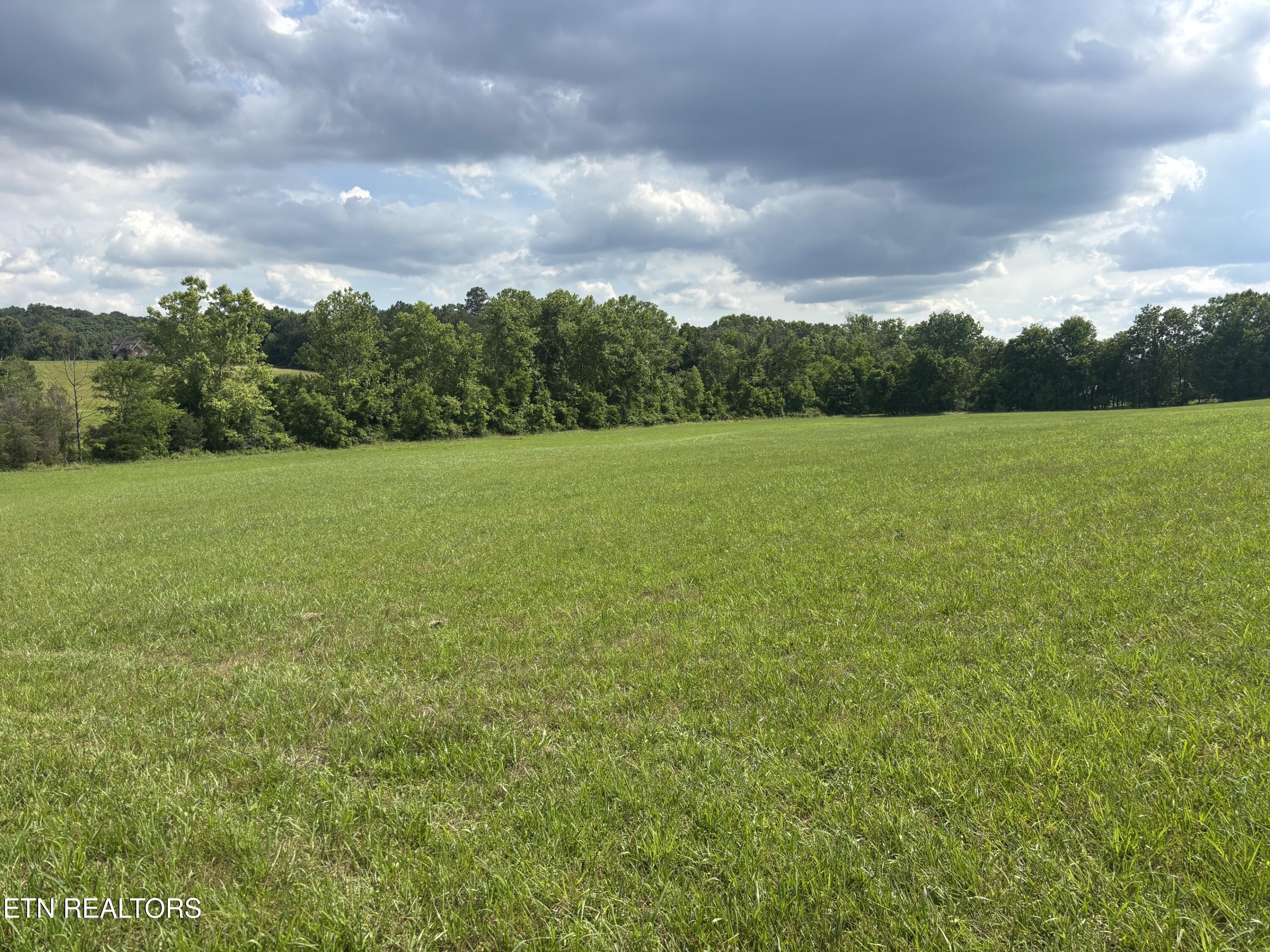 1040 Smith Valley Road Lenoir City, TN 37772 - Photo 1 of 8 IMG_6269