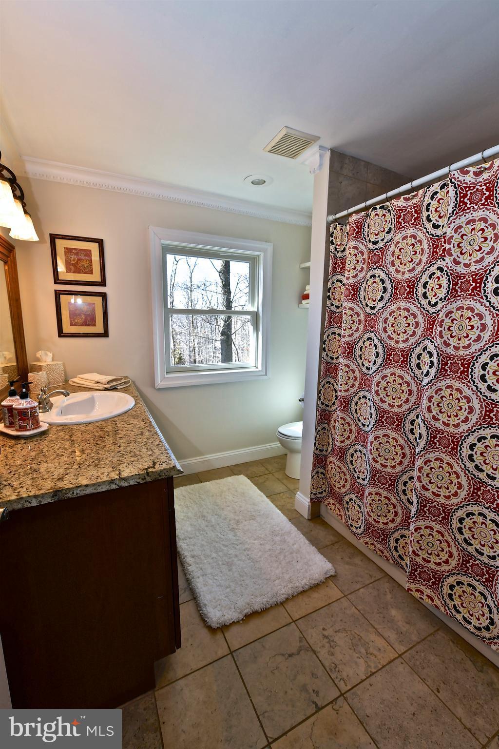 16528 Dubbs Road Sparks, MD 21152 - Photo 19 of 30 Full Bath#2-UL, Shower/Tub Combo, Granite Counter