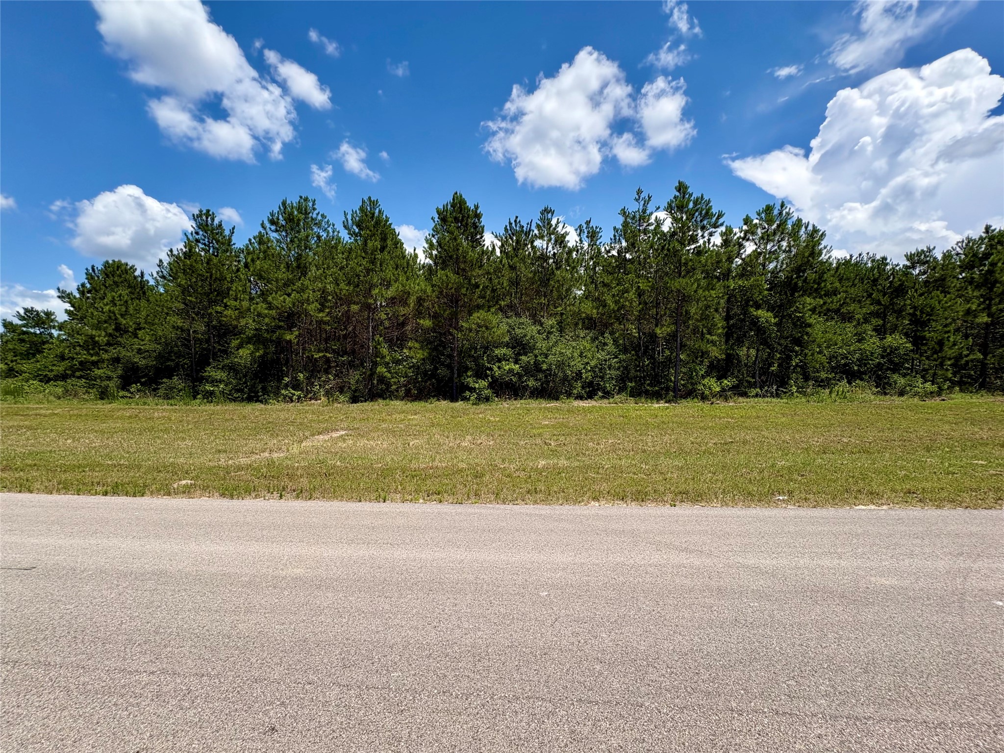 16270 Ridge Oak Road Willis, TX 77378 - Photo 1 of 9