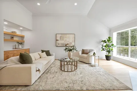 a living room with furniture and a potted plant