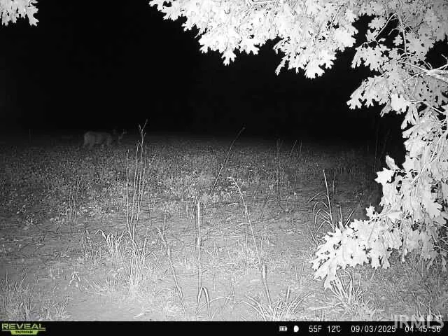 $169,900 | 100 East 100 North, Knox, IN 46534