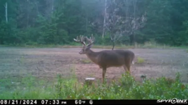 $169,900 | 100 East 100 North, Knox, IN 46534