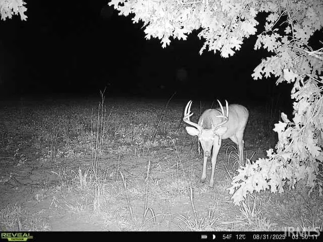 $169,900 | 100 East 100 North, Knox, IN 46534