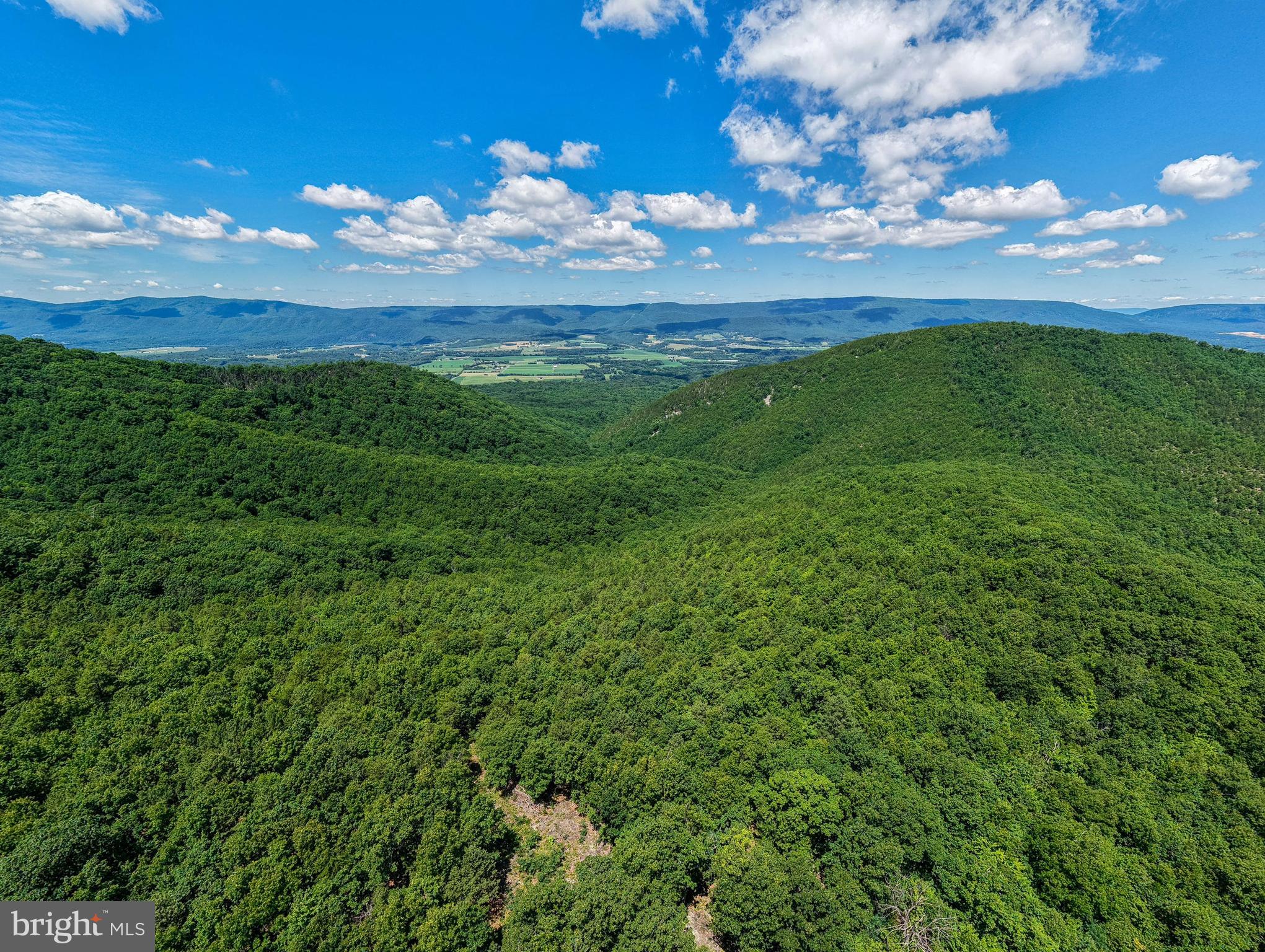 0 Dovel Hollow Road Stanley, VA 22851 - Photo 20 of 22
