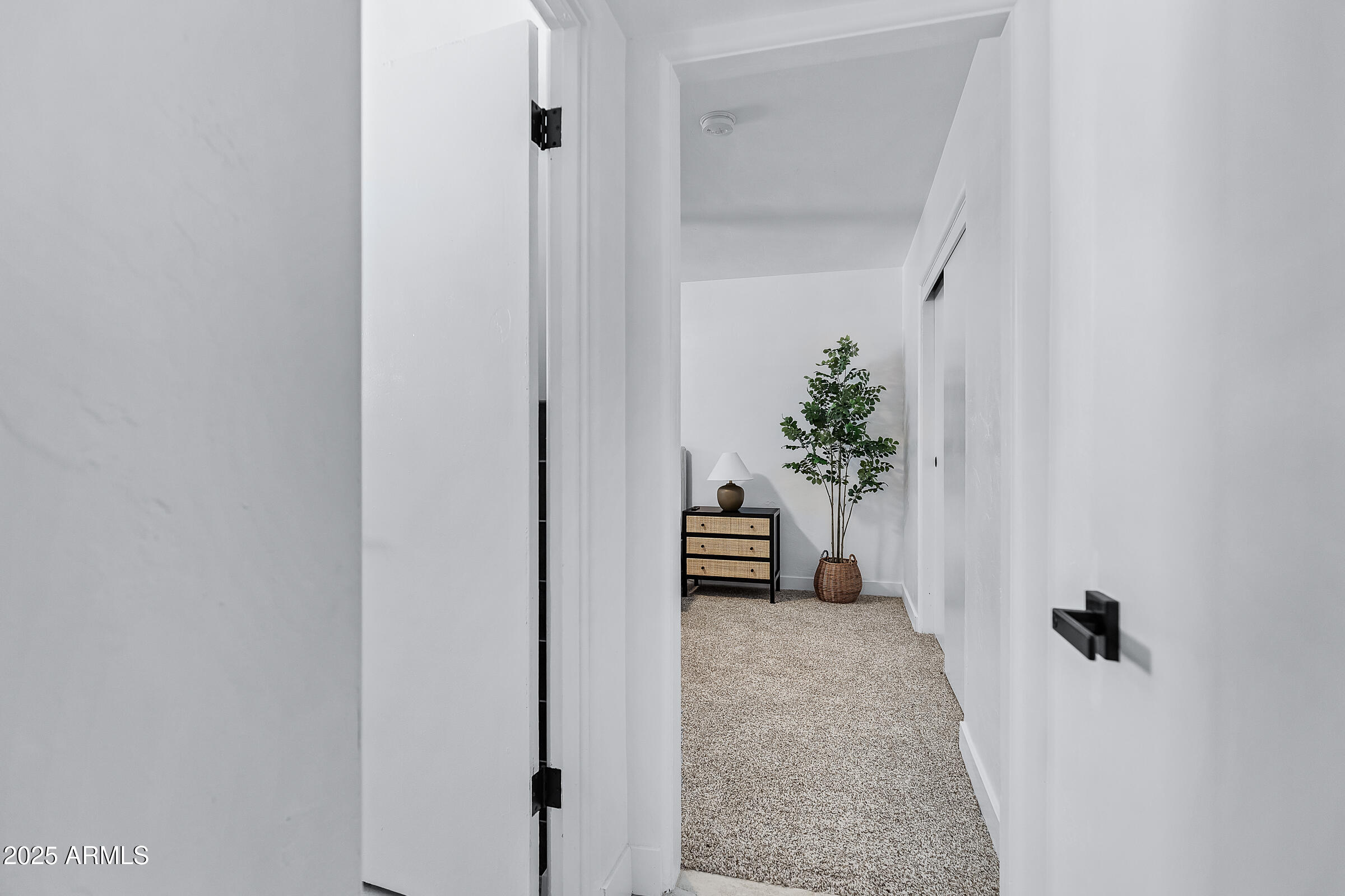 7308 North 7th Avenue Phoenix, AZ 85021 - Photo 22 of 42 a view of a hallway with a potted plant