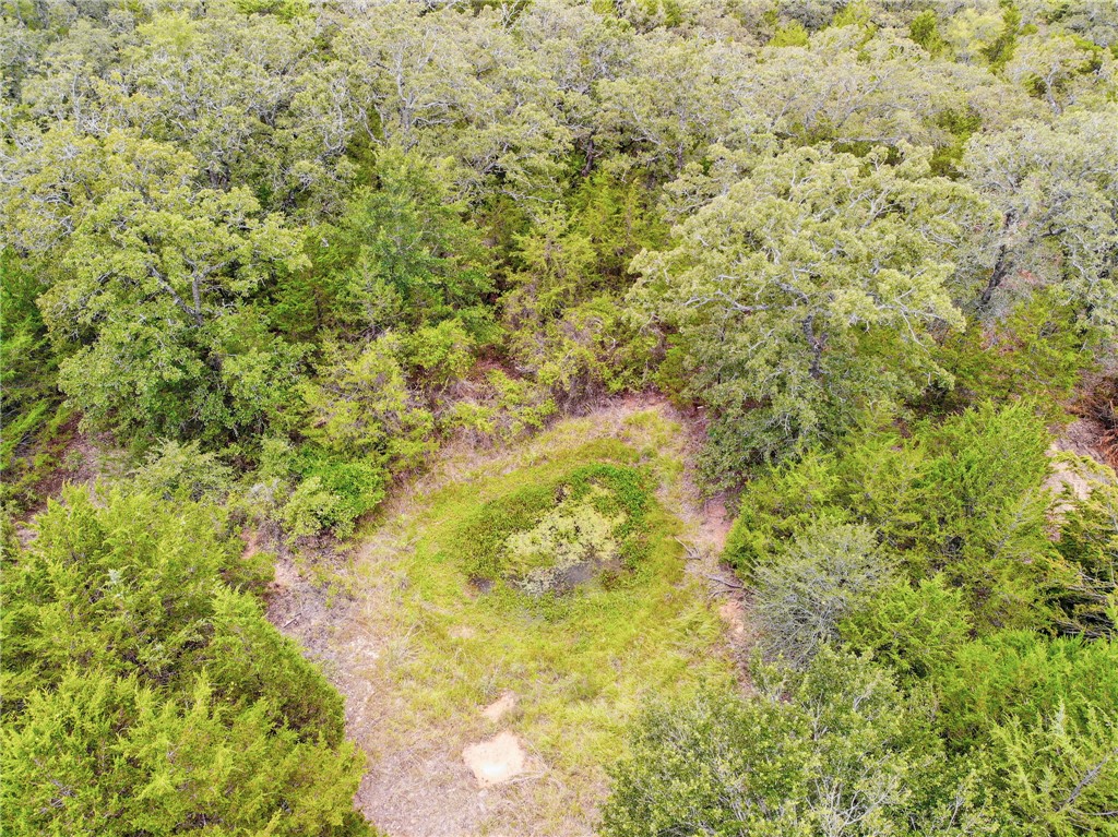 342 County Road 342 Milano, TX 76556 - Photo 5 of 7 a view of a big yard of the house