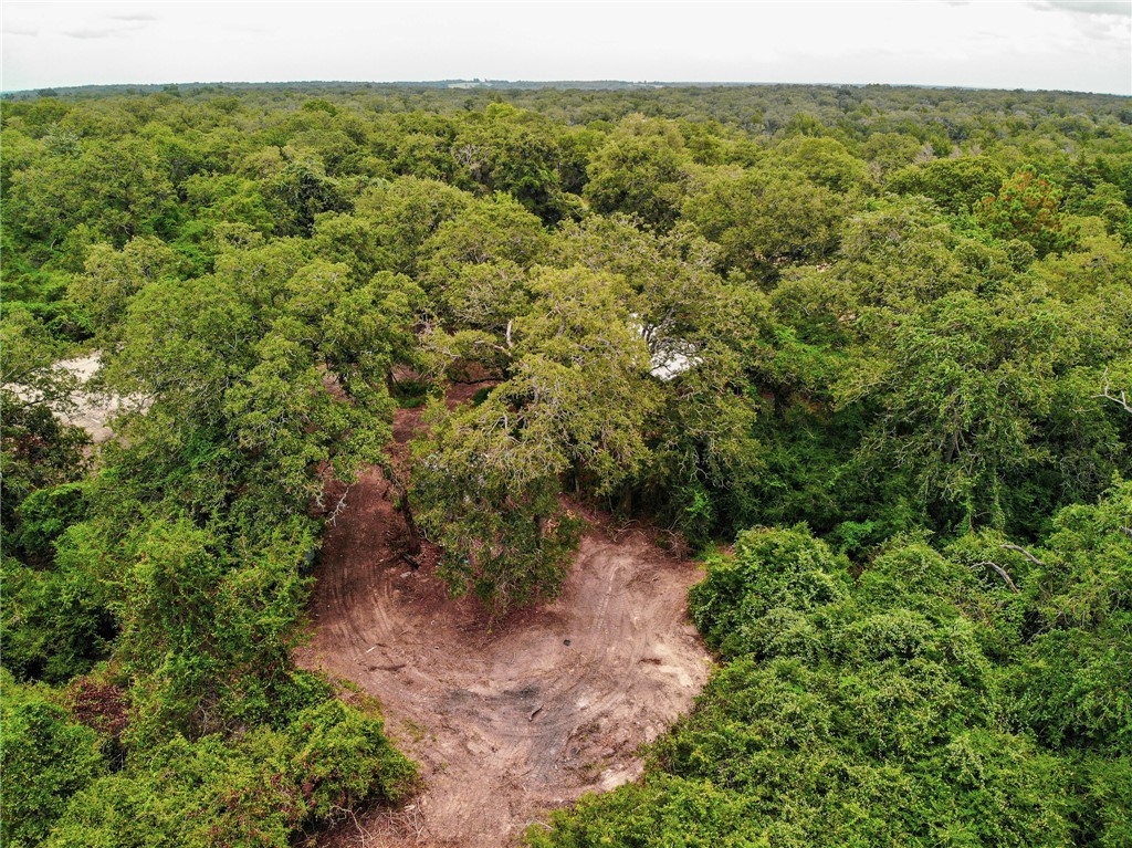 342 County Road 342 Milano, TX 76556 - Photo 7 of 7 an aerial view of forest