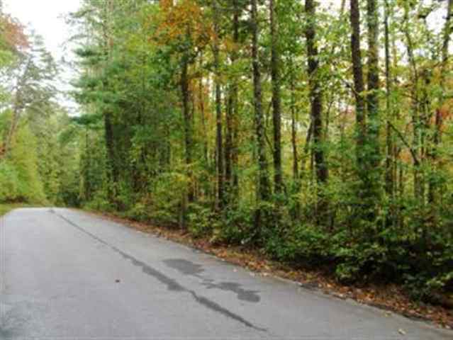 13-acres Mill Creek Road Sunset, SC 29685 - Photo 1 of 14 Gallery Image 1