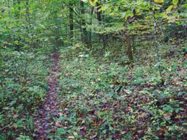 13-acres Mill Creek Road Sunset, SC 29685 - Photo 12 of 14 Gallery Image 12