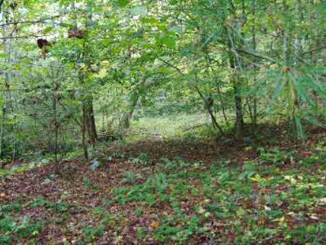 13-acres Mill Creek Road Sunset, SC 29685 - Photo 10 of 14 Gallery Image 10
