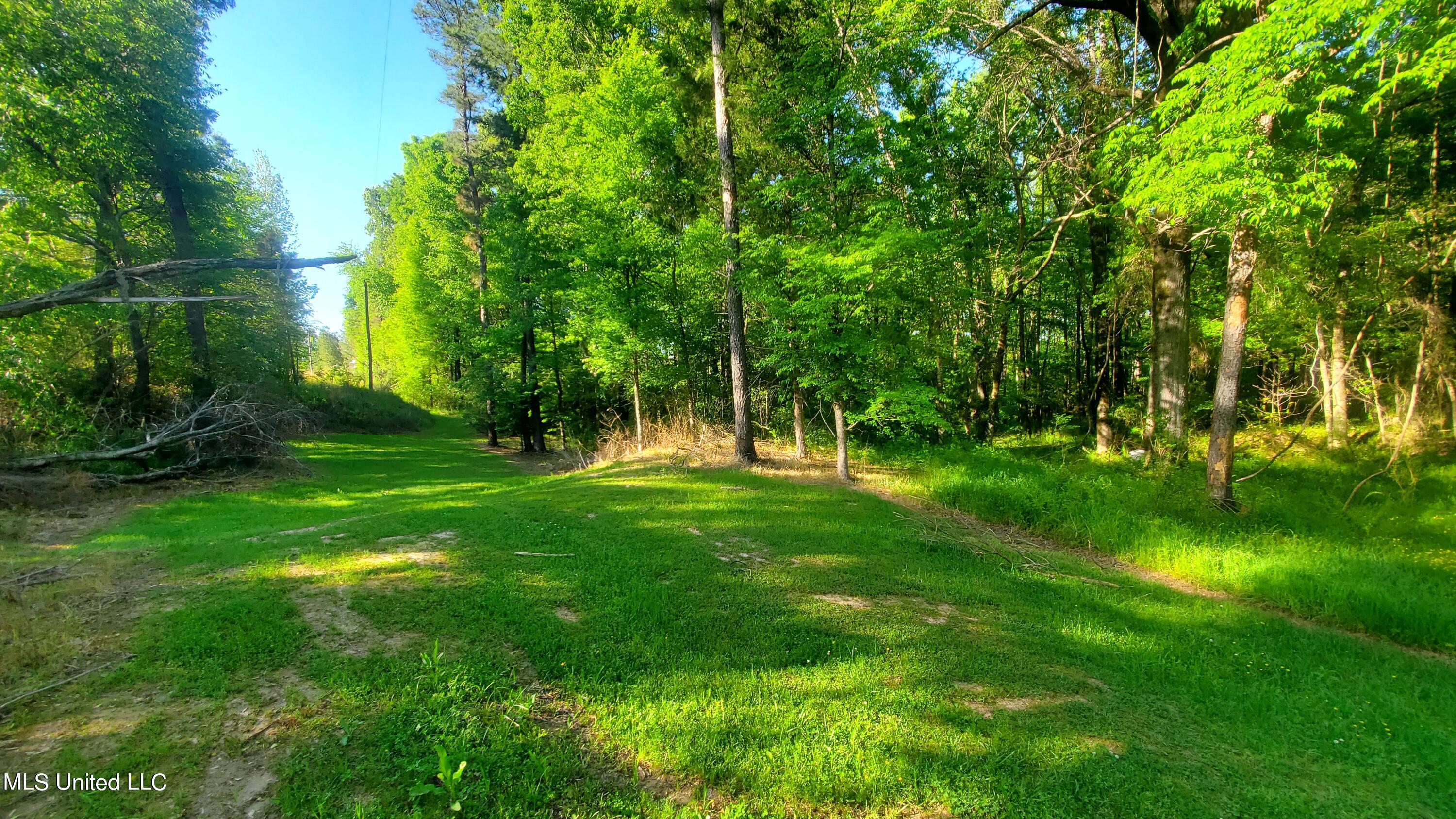 496 Barr Road Coldwater, MS 38618 - Photo 5 of 11 20240422_171443