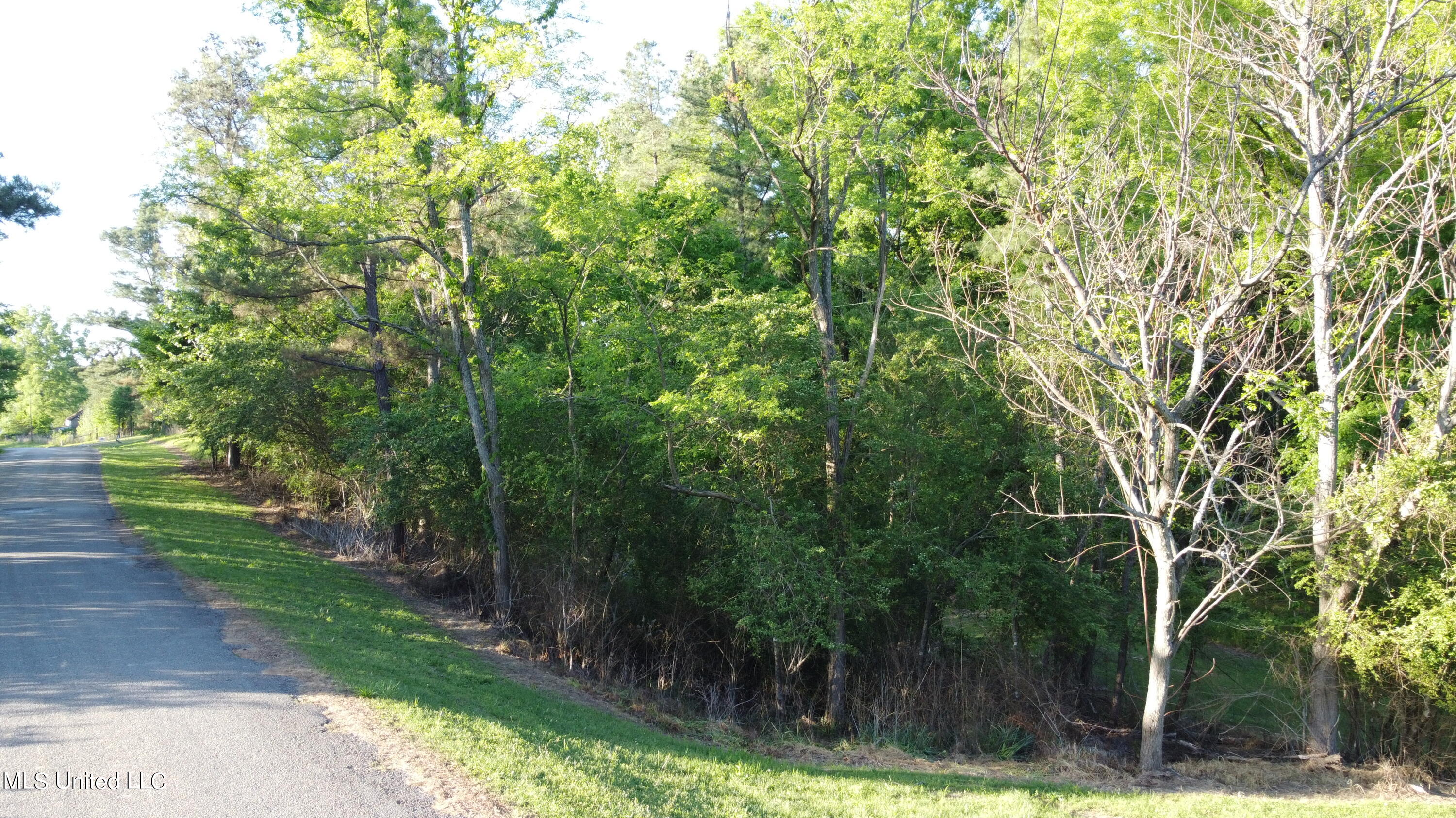 496 Barr Road Coldwater, MS 38618 - Photo 8 of 11 DJI_0807