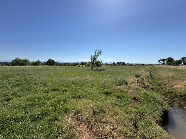 5227 Hopson Road Anderson, CA 96007 - Photo 15 of 19 a view of a field with an ocean and trees in the background