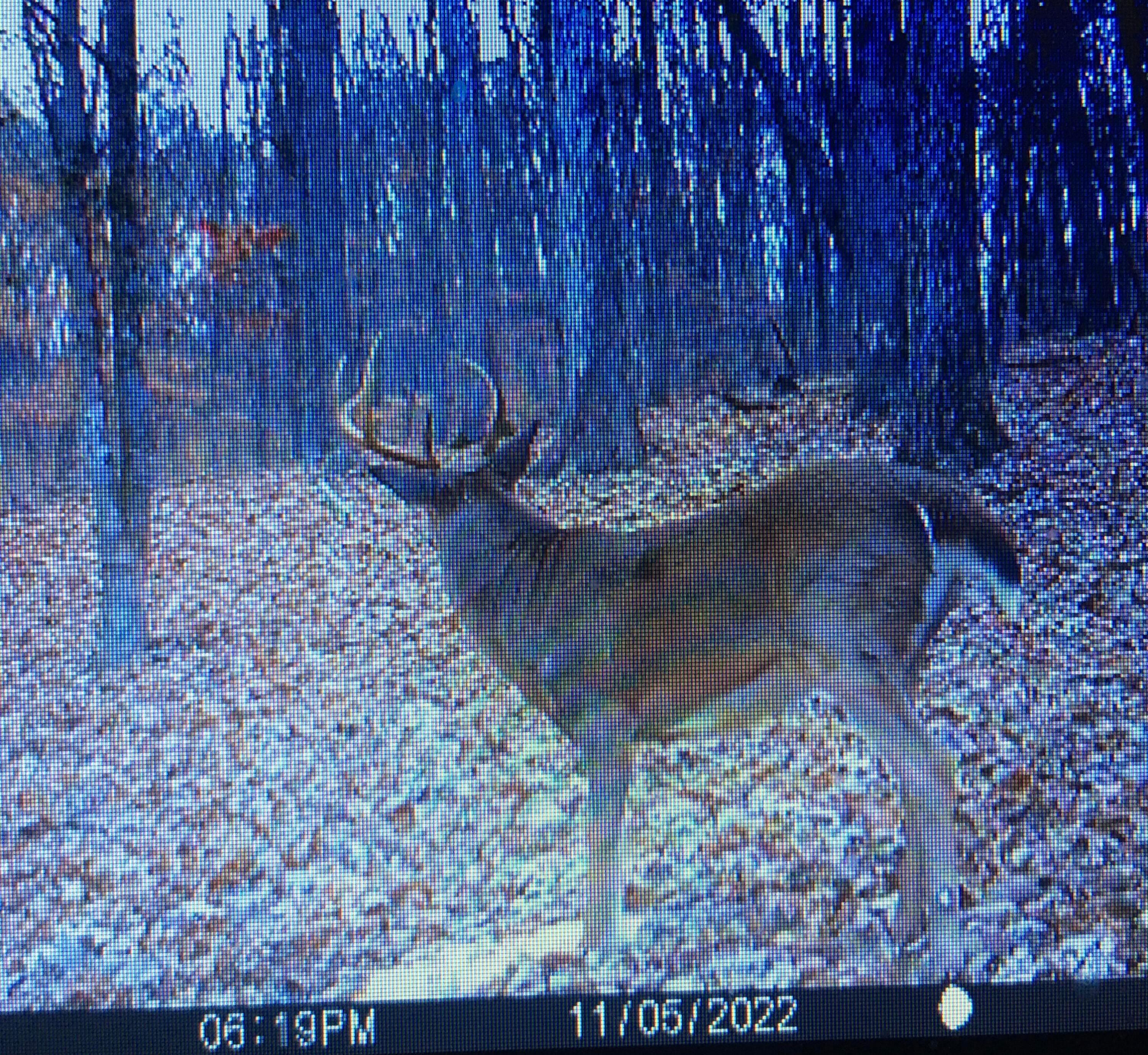 400 Bloomfield Road Piketon, OH 45661 - Photo 47 of 47 IMG_3816