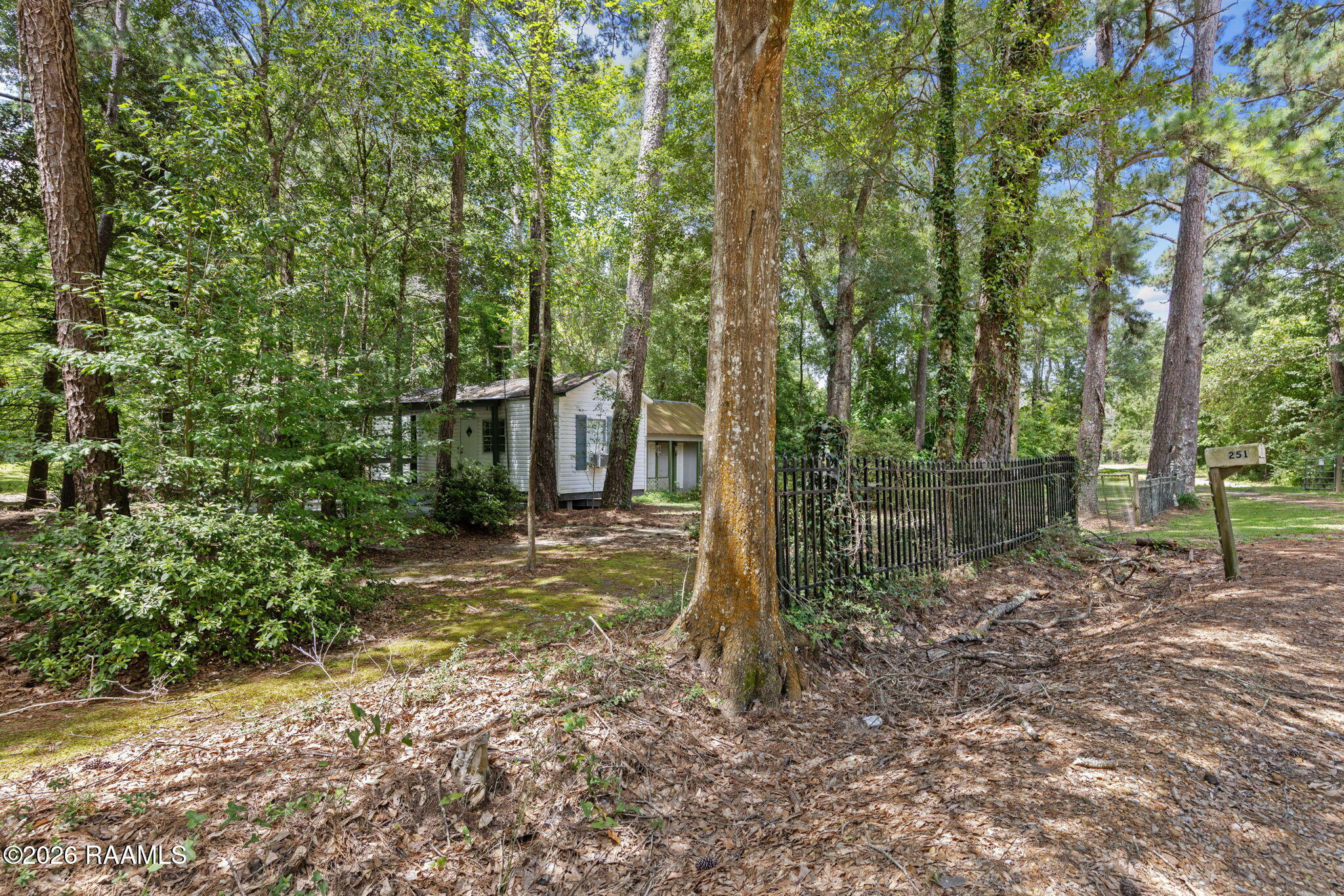 301 Crabapple Road Iota, LA 70543 - Photo 7 of 40 7-web-or-mls-803A6130