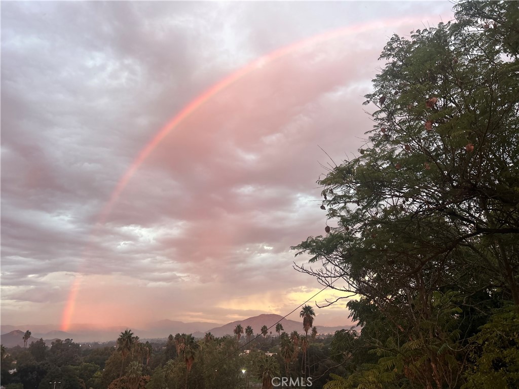 2715 Brockton Avenue Riverside, CA 92501 - Photo 62 of 67