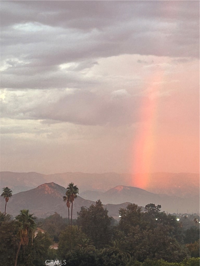 2715 Brockton Avenue Riverside, CA 92501 - Photo 66 of 67