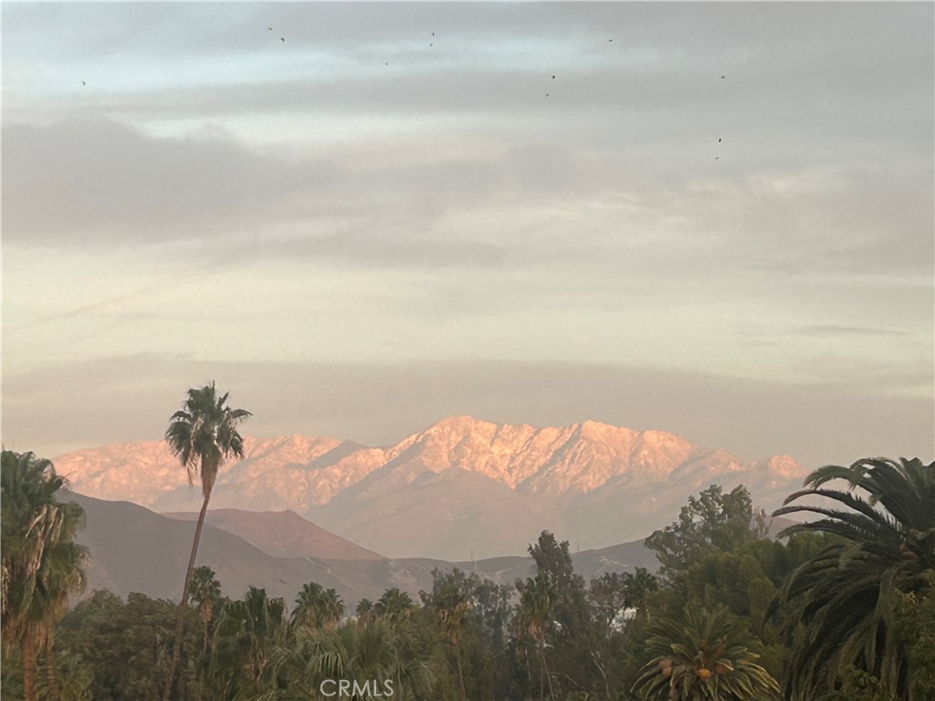 2715 Brockton Avenue Riverside, CA 92501 - Photo 67 of 67