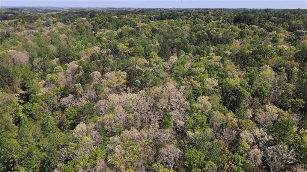 0 Crane Mountain Road Toccoa, GA 30577 - Photo 4 of 7