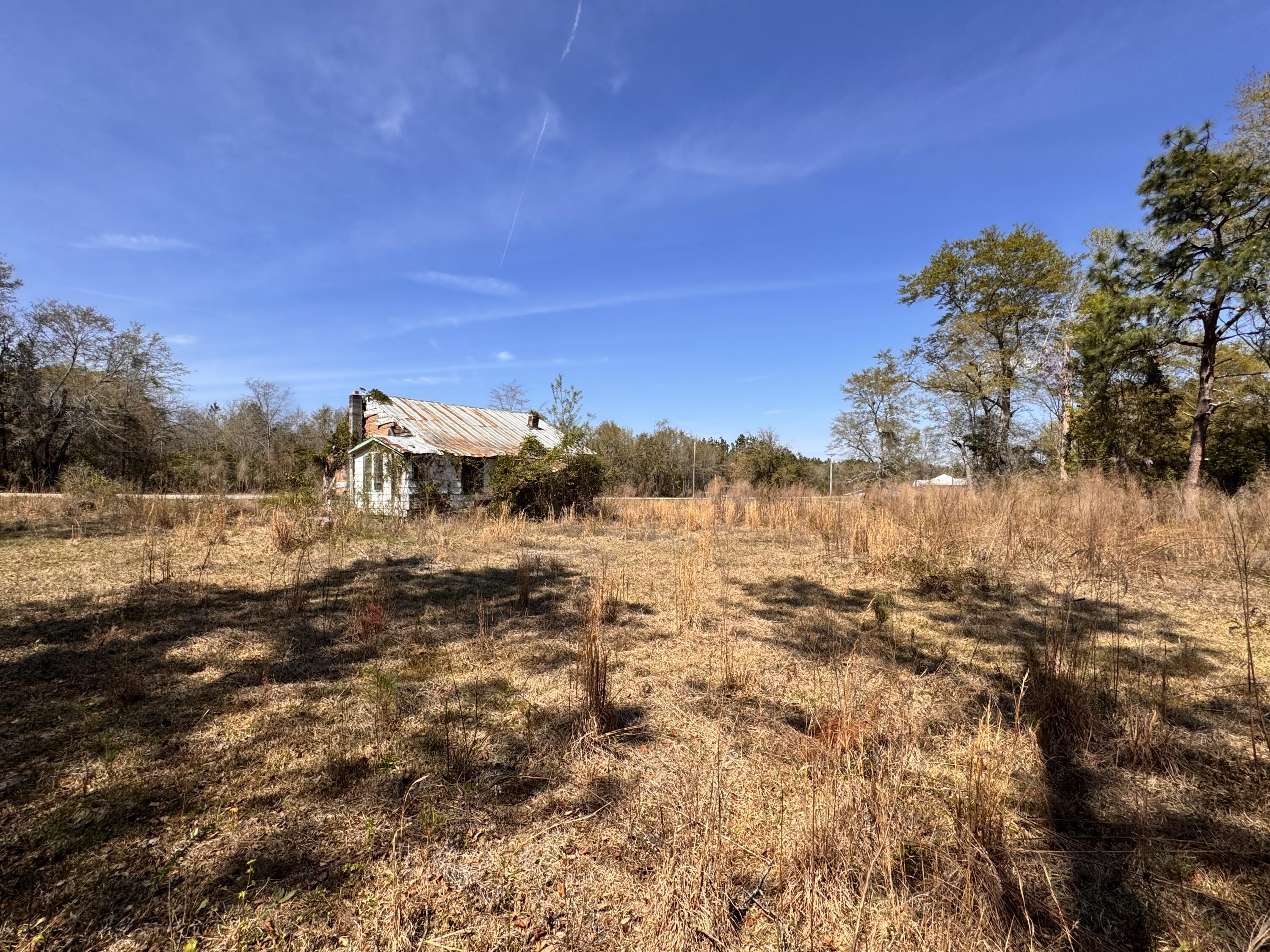 3.13-acres Skyland Farm Road Williston, SC 29853 - Photo 2 of 5