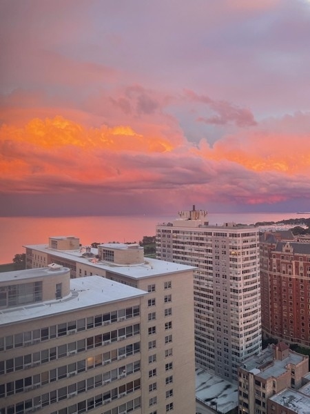 655 West Irving Park Road, Unit 2803 Chicago, IL 60613 - Photo 23 of 24