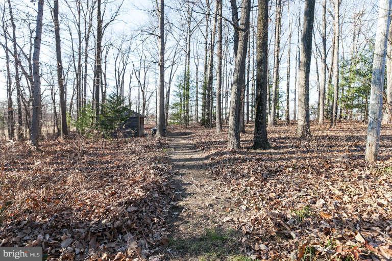 4210 Piney Grove Road Glyndon, MD 21136 - Photo 30 of 30 Path to Garden House