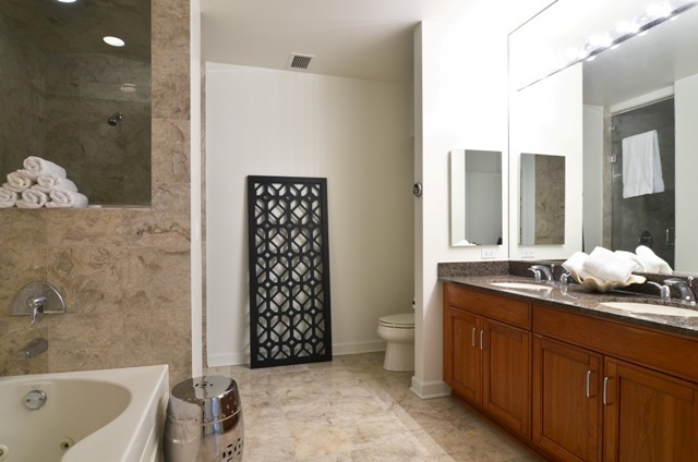 1335 South Prairie Avenue, Unit 1504 Chicago, IL 60605 - Photo 14 of 25