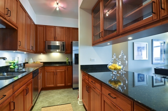 1335 South Prairie Avenue, Unit 1504 Chicago, IL 60605 - Photo 7 of 25