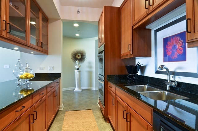 1335 South Prairie Avenue, Unit 1504 Chicago, IL 60605 - Photo 8 of 25