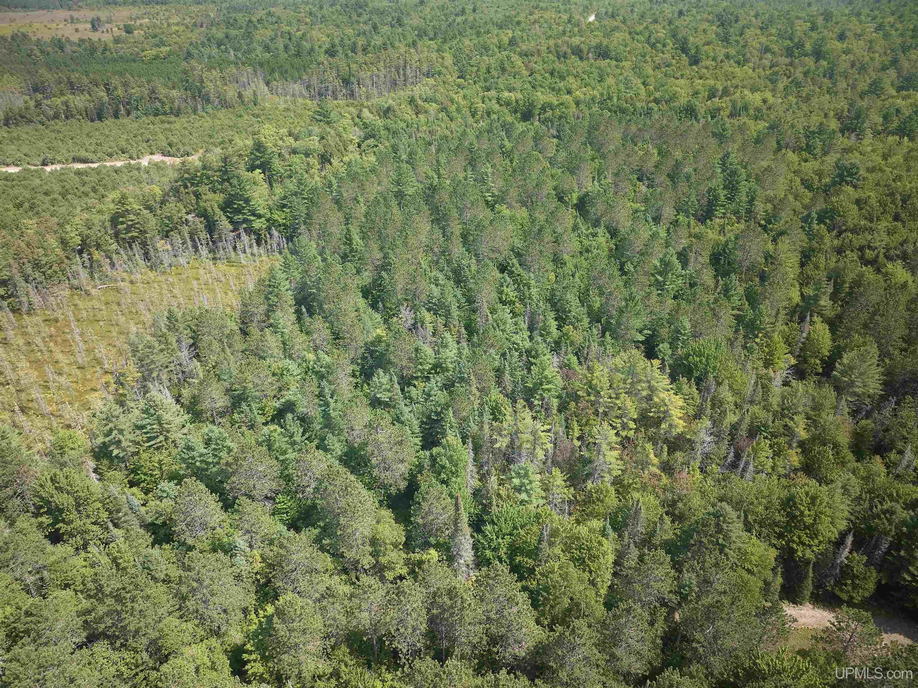 E7163 Doe Lake Road, Unit E5644 AUTRAIN RIVERVIEW Munising, MI 49862 - Photo 5 of 27 Gallery Image 5