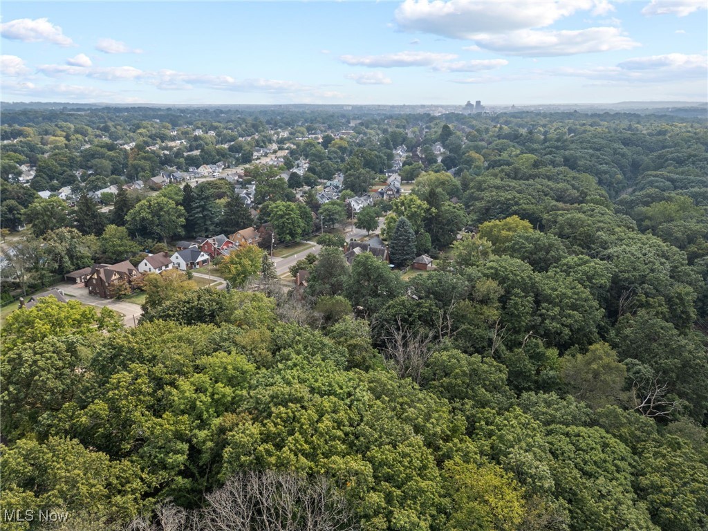 1271 Circle Drive Akron, OH 44310 - Photo 39 of 45 Aerial view of a forest