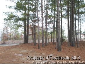3295 Hillmon Grove Road Cameron, NC 28326 - Photo 16 of 17 Gallery Image 16